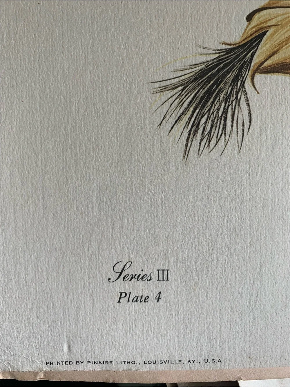 Vintage Gene Gray Limited Edition Print Black Crow Wall Art Print 1978 Nature